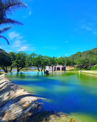 Hoekland Manor - 211178