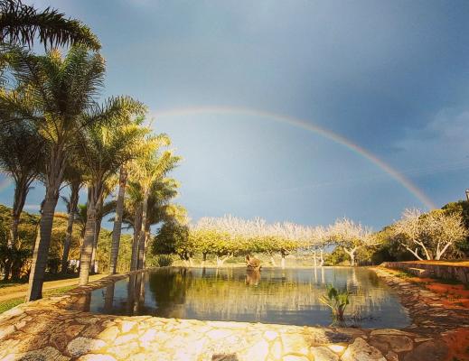 Hoekland Manor - 211183