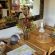 Elephant Hide of Knysna Guest Lodge - 211228