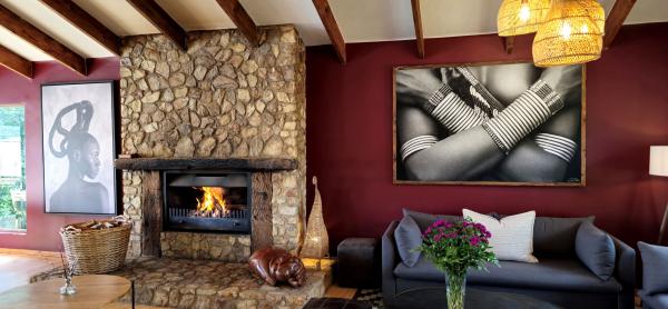 Elephant Hide of Knysna Guest Lodge - 211229