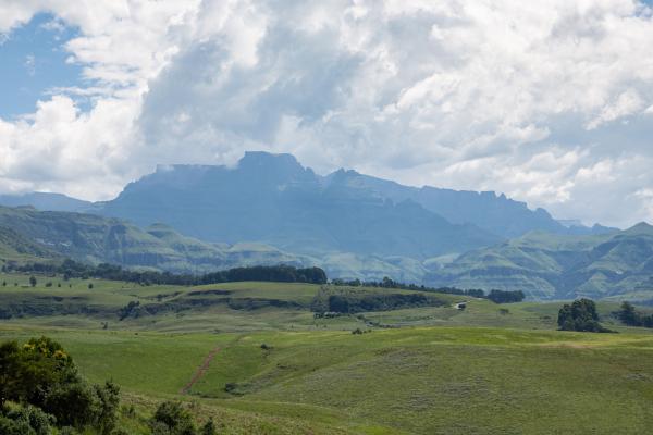 Dragonview Lodge - 211239