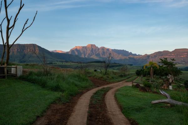 Dragonview Lodge - 211244