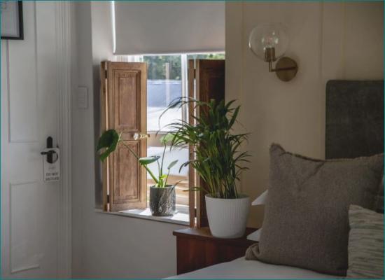 Room image 5
