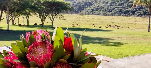 Hoekland Manor - 211379