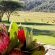 Hoekland Manor - 211379