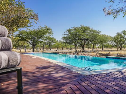 Etosha Oberland Lodge - 211881
