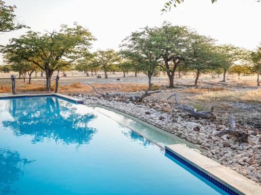 Etosha Oberland Lodge - 211886