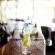 Etosha Oberland Lodge - 211893