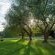 Kleinplaas Holiday Resort - 211949