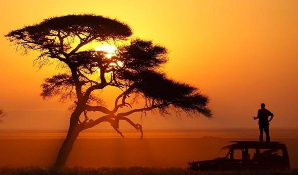 Emanya@Etosha - 212102