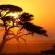 Emanya@Etosha - 212102