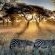 Emanya@Etosha - 212107