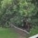 The Botanical House - 212114