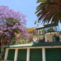 Agterplaas B&B - 212127