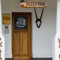 Olive Grove Guest Farm - 212187