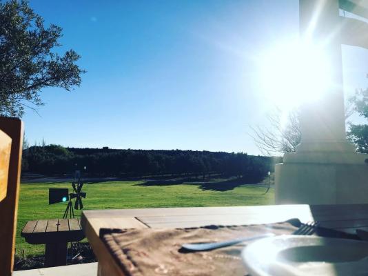 Olive Grove Guest Farm - 212189