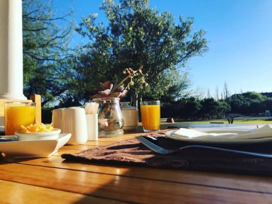 Olive Grove Guest Farm - 212197