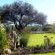 Olive Grove Guest Farm - 212199