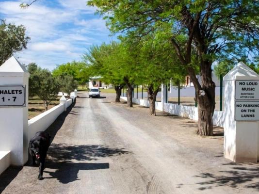 Olive Grove Guest Farm - 212201