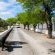 Olive Grove Guest Farm - 212201