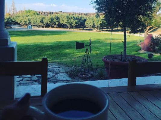 Olive Grove Guest Farm - 212203