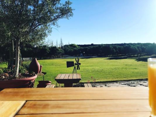 Olive Grove Guest Farm - 212204
