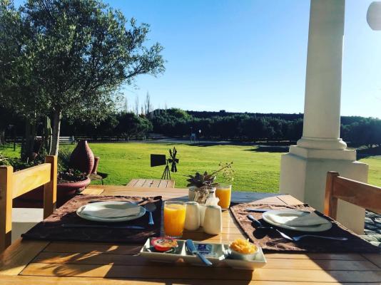 Olive Grove Guest Farm - 212205
