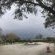 Olive Grove Guest Farm - 212206