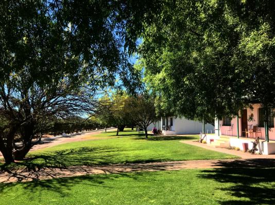 Olive Grove Guest Farm - 212207