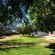 Olive Grove Guest Farm - 212207