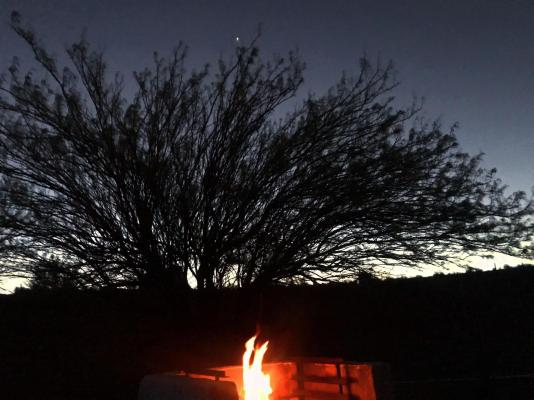 Olive Grove Guest Farm - 212208