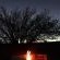 Olive Grove Guest Farm - 212208