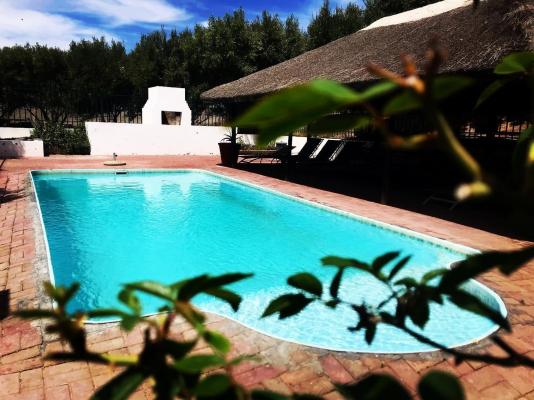 Olive Grove Guest Farm - 212210