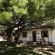 Olive Grove Guest Farm - 212233
