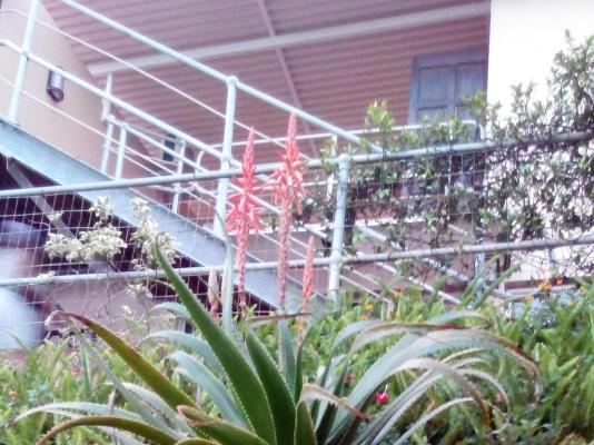 Ocean Blue Guesthouse - 212297