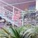 Ocean Blue Guesthouse - 212297