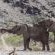 Twyfelfontein Adventure Camp - 212365