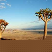 Eagle's Nest Chalets - 212379