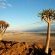Eagle's Nest Chalets - 212379