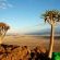 Eagle's Nest Chalets - 212379