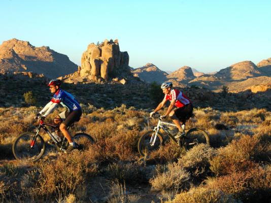 Eagle's Nest Chalets - 212380