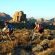 Eagle's Nest Chalets - 212380