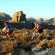 Eagle's Nest Chalets - 212380