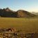 Eagle's Nest Chalets - 212383