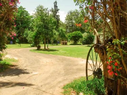 Homestead B&B - 212503