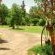 Homestead B&B - 212503