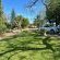 Homestead B&B - 212512
