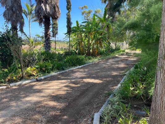 Homestead B&B - 212514