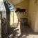 Homestead B&B - 212558