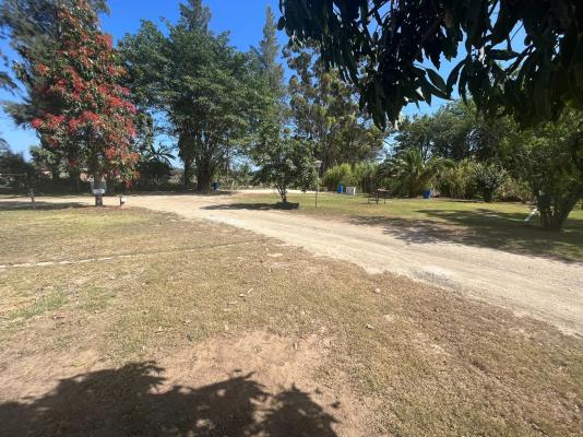 Homestead B&B - 212593